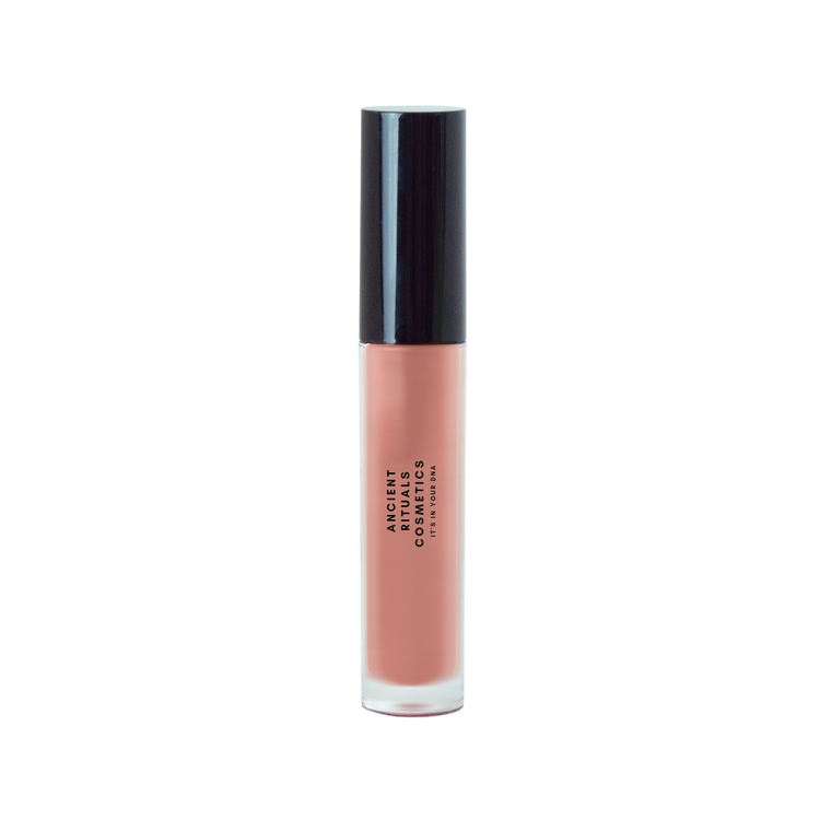 Lip Gloss - Song